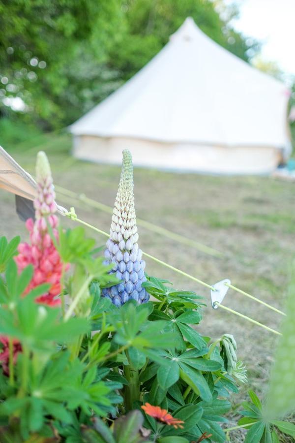 Glamping At Hay Festival Villa Hay-On-Wye Exterior foto